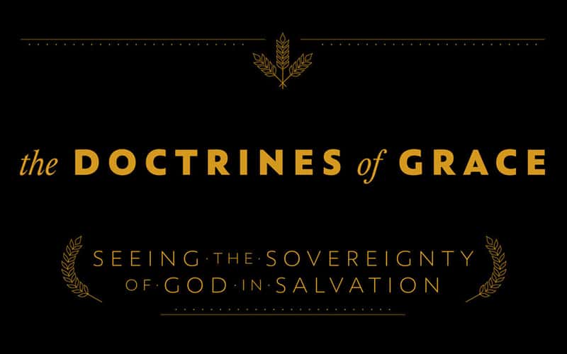 The Doctrines of Grace (Lecture/Interview Series)